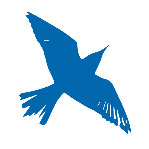 Image article 56
